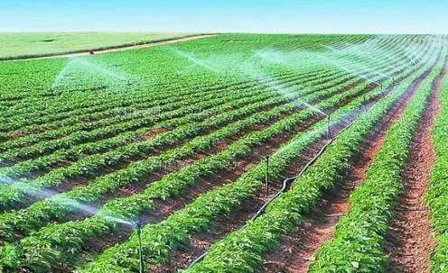 黑丝足交视频农田高 效节水灌溉